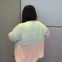 Ombre Cardigan Sweater (+)