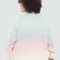 Ombre Cardigan Sweater (+)